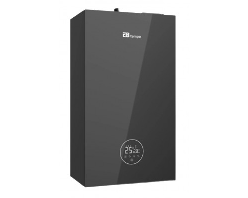 Газовый настенный котел E8 tempo GHA24W
